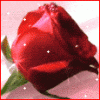 الصورة الرمزية نسمات شرقية