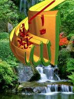 الصورة الرمزية صبر الحوراء