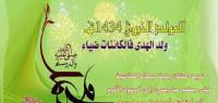 الصورة الرمزية نرجس*